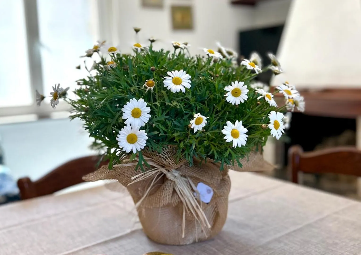 Apartament Nura'S - Casa Le Rose Bosa